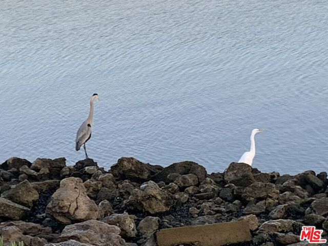 6623 Esplanade, Playa Del Rey, CA 90293