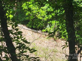 00 Hickory Nut Lane 390, Lake Lure, NC 28746