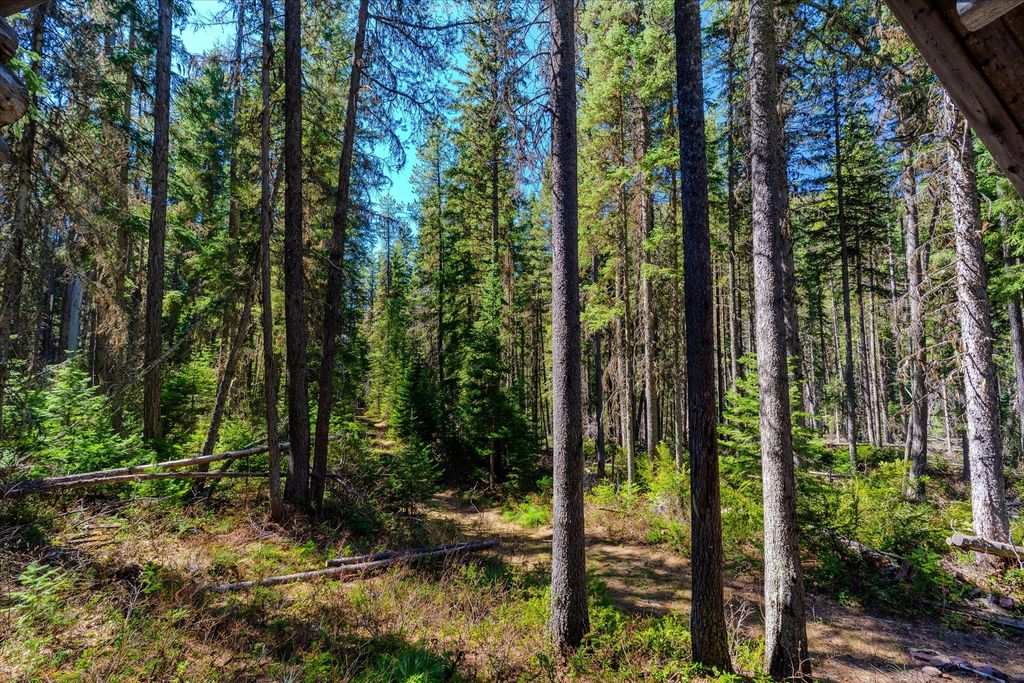 14265 US Hwy 2 E, Essex, MT 59916 photo 23