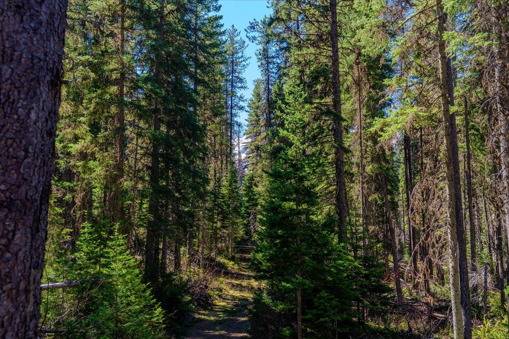 14265 US Hwy 2 E, Essex, MT 59916 photo 24