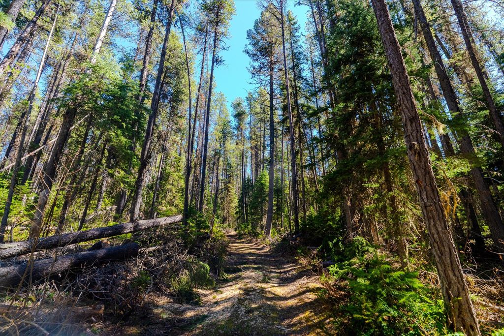 14265 US Hwy 2 E, Essex, MT 59916 photo 25