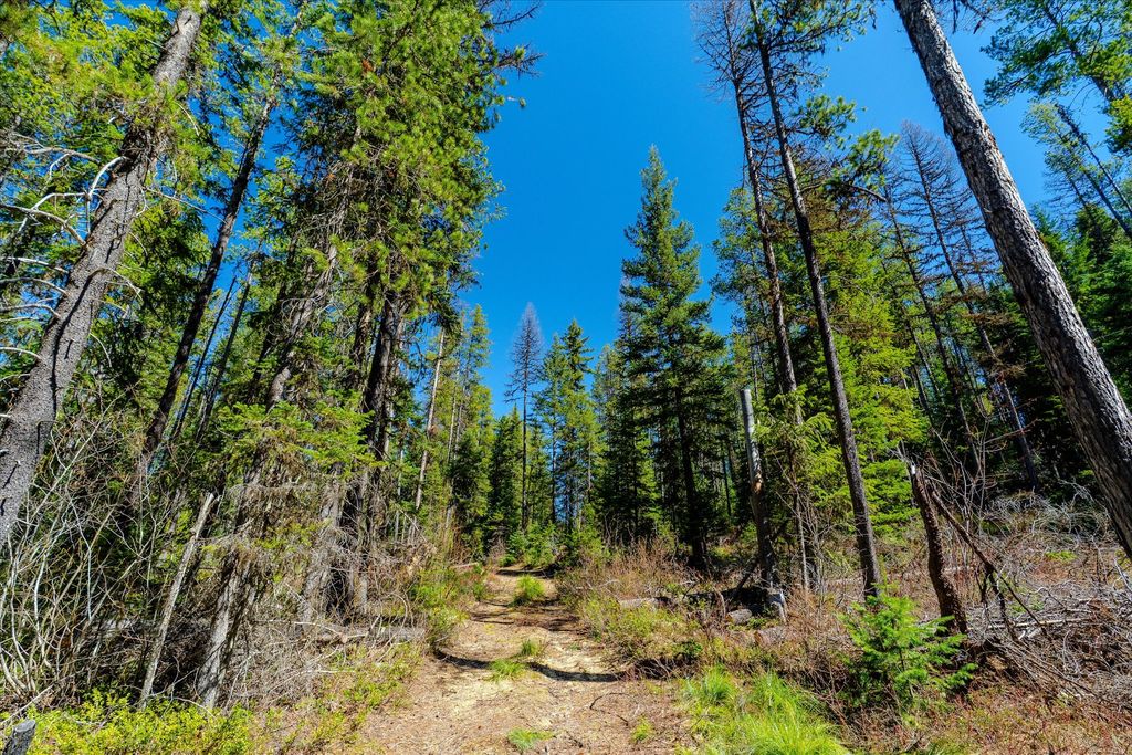 14265 US Hwy 2 E, Essex, MT 59916 photo 26