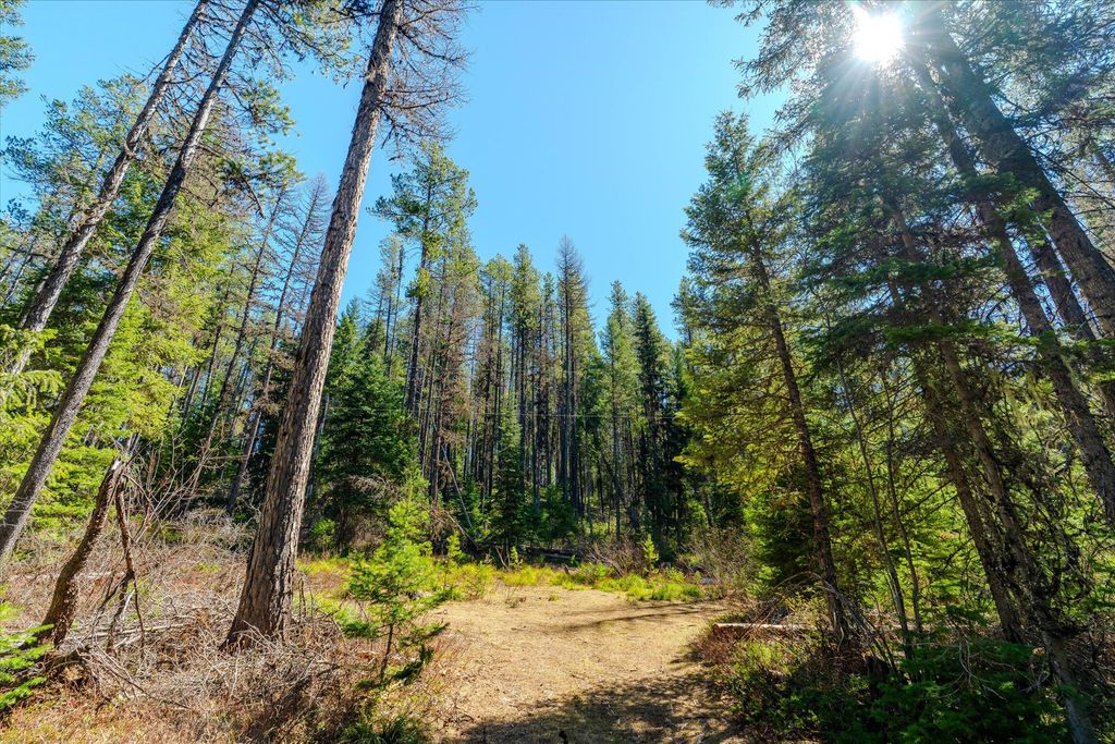 14265 US Hwy 2 E, Essex, MT 59916 photo 27