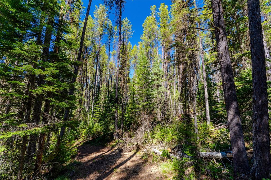 14265 US Hwy 2 E, Essex, MT 59916 photo 28