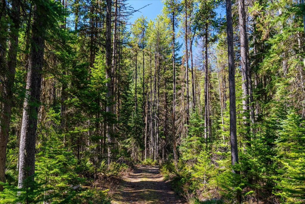 14265 US Hwy 2 E, Essex, MT 59916 photo 29