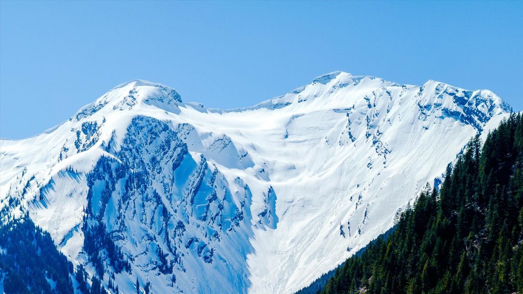 14265 US Hwy 2 E, Essex, MT 59916 photo 54