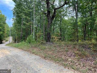 32 Antler Court 2, Ranger, GA 30734