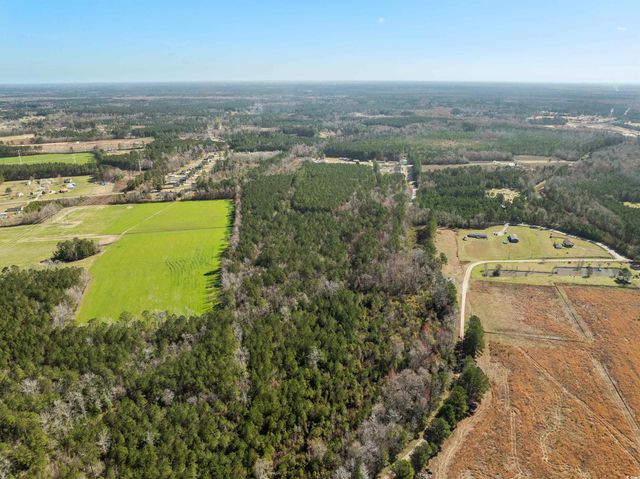 TBD - Lot 3 Daphane Dr., Loris, SC 29569