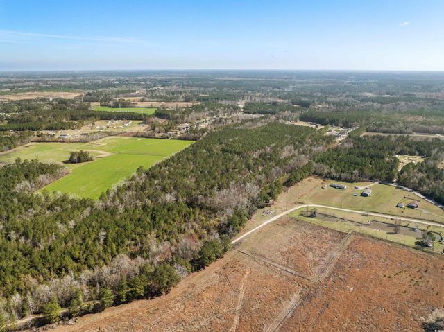 TBD - Lot 3 Daphane Dr., Loris, SC 29569