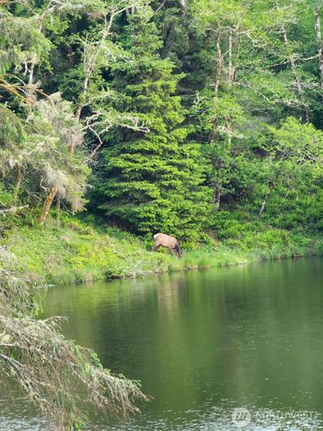 4 Lakeview Lane, South Bend, WA 98586