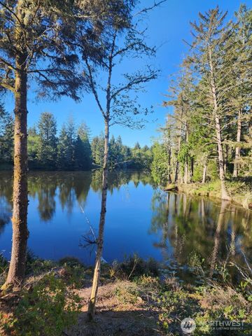 4 Lakeview Lane, South Bend, WA 98586