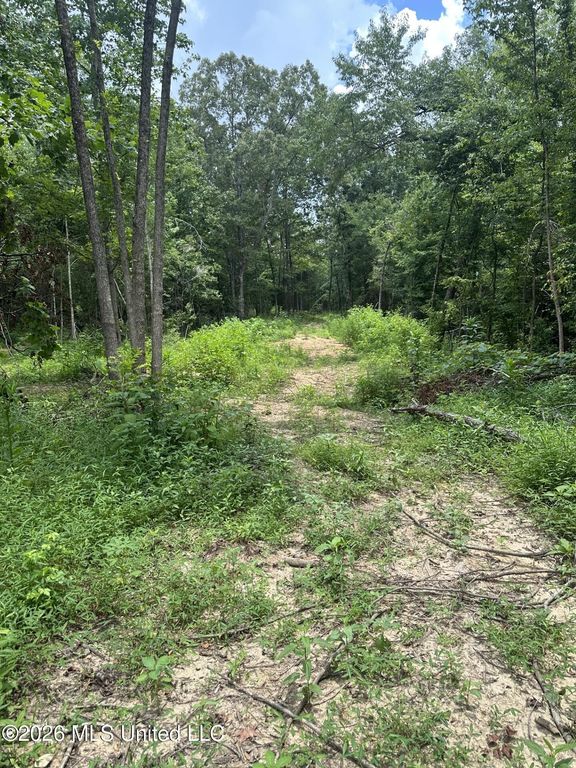 Gravel Springs Road, Senatobia, MS 38668 — exterior
