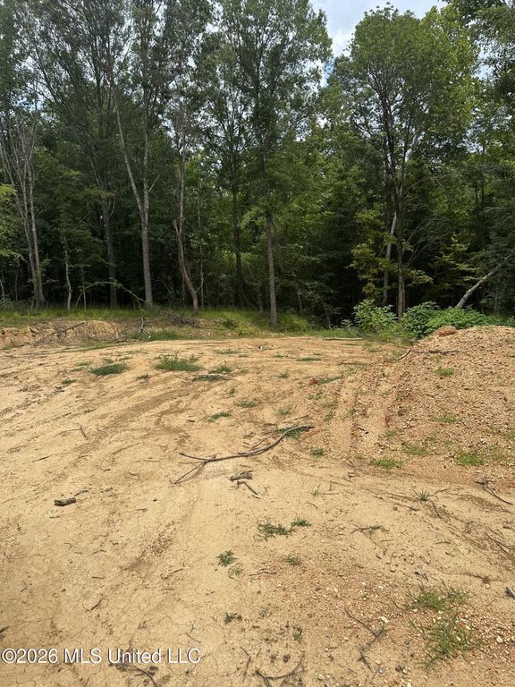 Gravel Springs Road, Senatobia, MS 38668 — photo 2