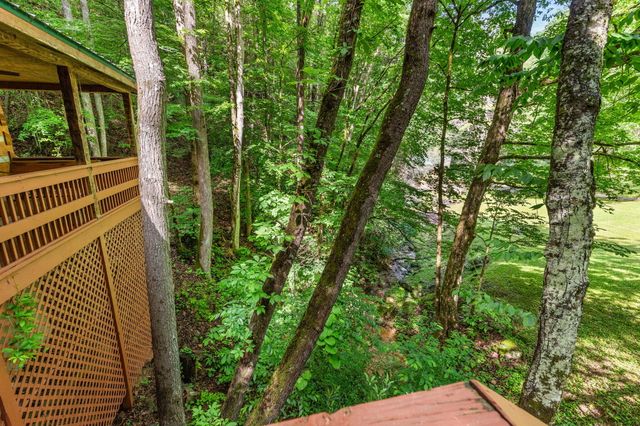 2653 Black Walnut Flats Road, Sevierville, TN 37862