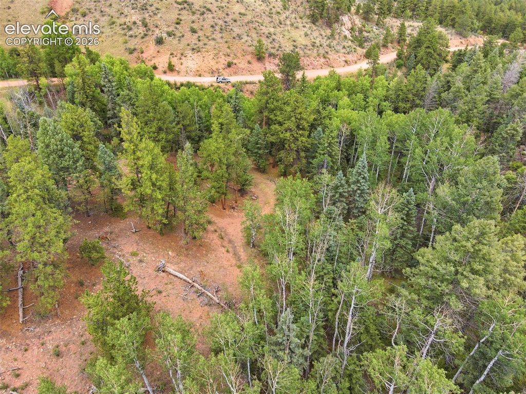 1310 Park Ridge Drive, Guffey, CO 80820 — exterior