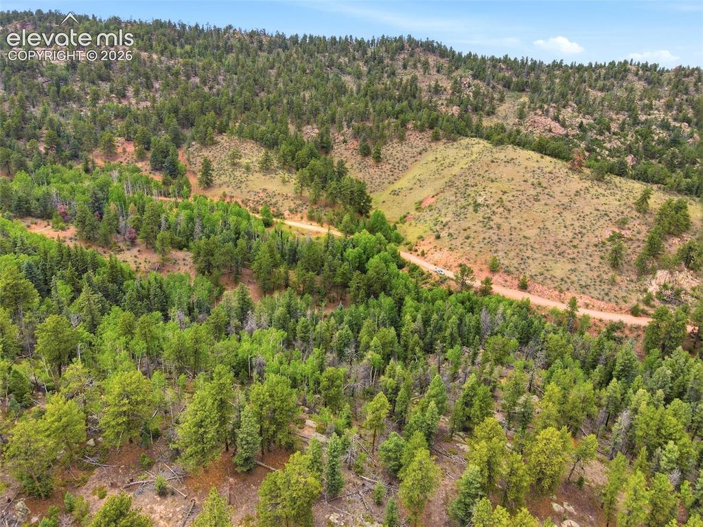 1310 Park Ridge Drive, Guffey, CO 80820 — photo 2
