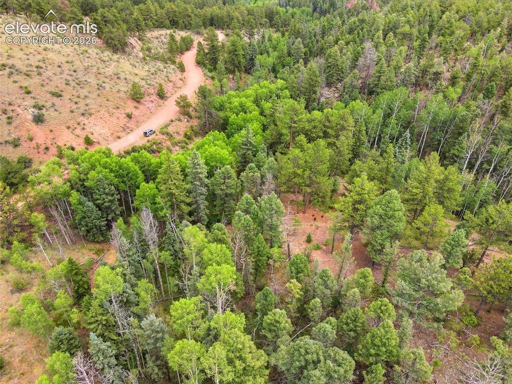 1310 Park Ridge Drive, Guffey, CO 80820 — photo 3