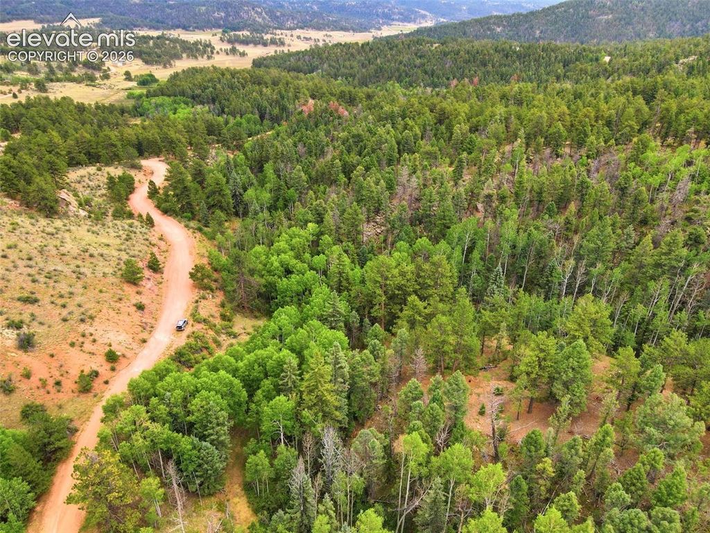 1310 Park Ridge Drive, Guffey, CO 80820 — photo 4