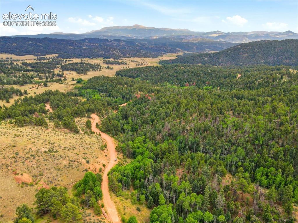 1310 Park Ridge Drive, Guffey, CO 80820 — photo 5