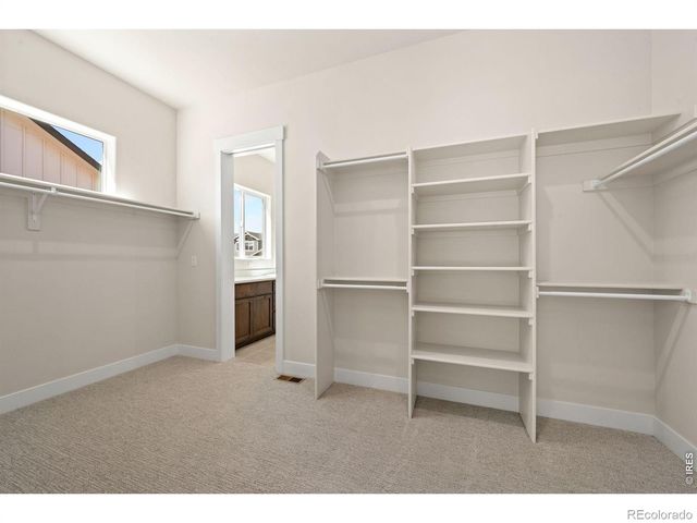 6308 Steppes Way, Loveland, CO 80538