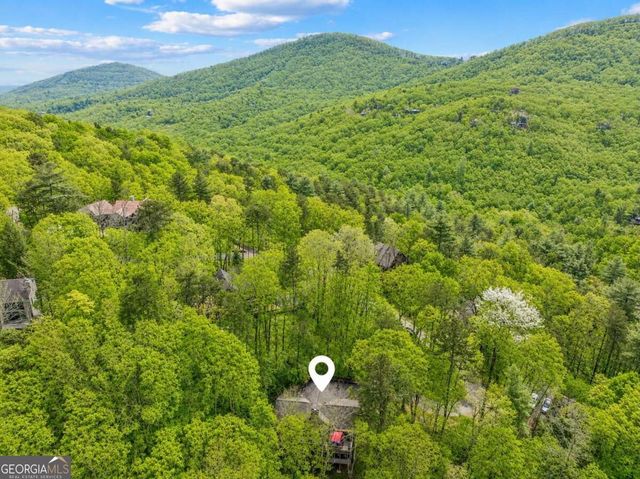 458 Tea Berry Lane, Big Canoe, GA 30143