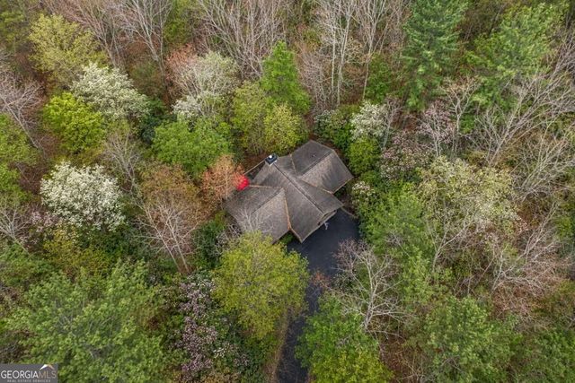 458 Tea Berry Lane, Big Canoe, GA 30143