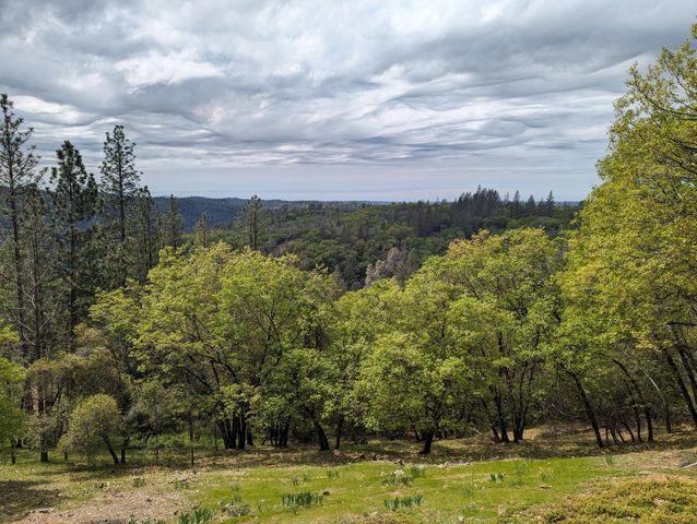 6520 Longridge Ct, Foresthill, CA 95631