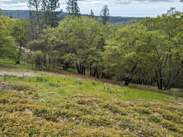 6520 Longridge Ct, Foresthill, CA 95631