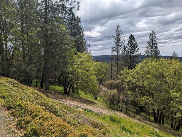 6520 Longridge Ct, Foresthill, CA 95631