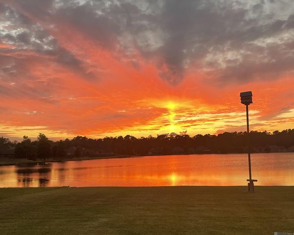 32819 Fox Run Dr, Walker, LA 70785