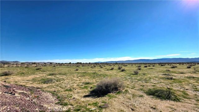 47527 Silver Valley Road, Newberry Springs, CA 92365