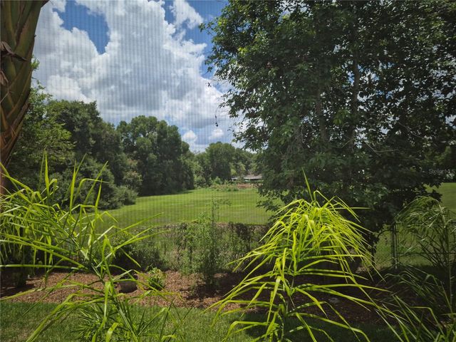 1224 CARRIAGE PARK DRIVE, Valrico, FL 33594