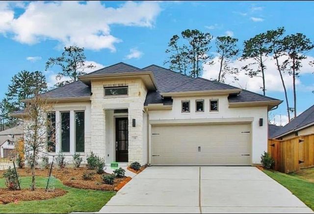 210 W Netleaf Court, Montgomery, TX 77316
