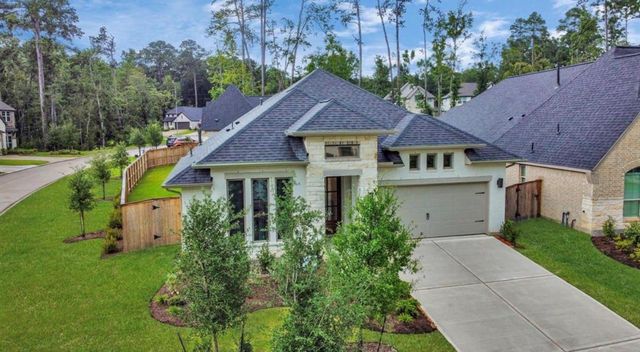 210 W Netleaf Court, Montgomery, TX 77316