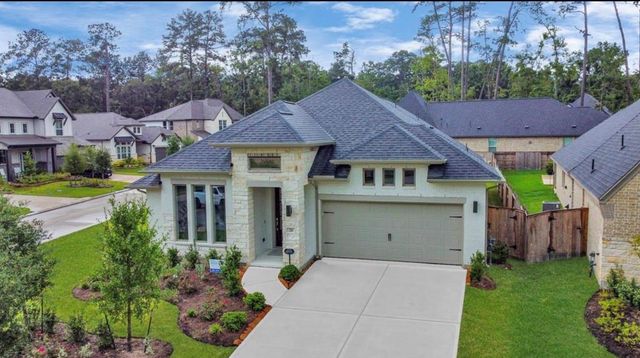 210 W Netleaf Court, Montgomery, TX 77316