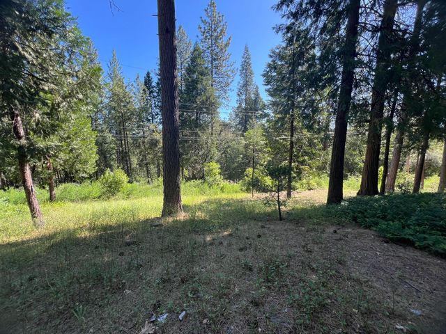 13706 Paelo Ln, Pine Grove, CA 95665