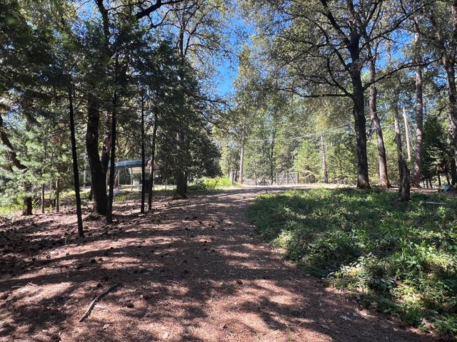 13706 Paelo Ln, Pine Grove, CA 95665