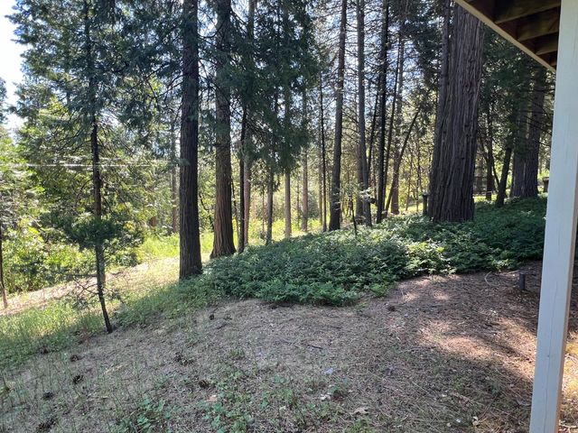 13706 Paelo Ln, Pine Grove, CA 95665