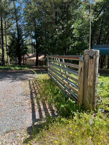13706 Paelo Ln, Pine Grove, CA 95665