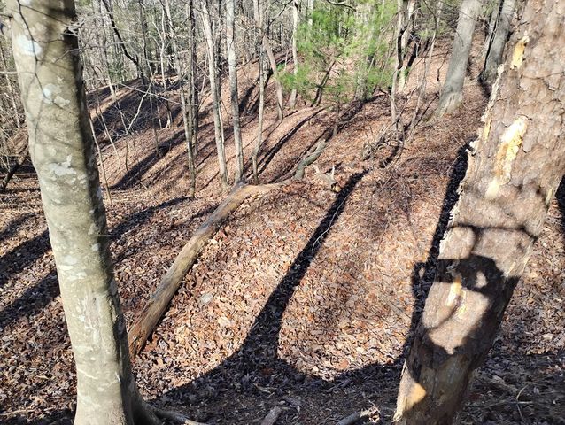 Lt 2090R Newport Drive, Ellijay, GA 30540