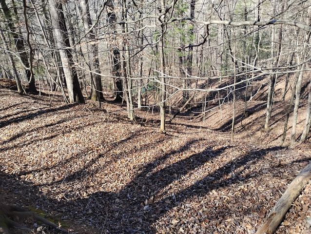 Lt 2090R Newport Drive, Ellijay, GA 30540