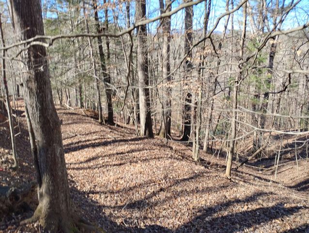 Lt 2090R Newport Drive, Ellijay, GA 30540