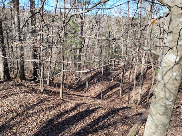 Lt 2090R Newport Drive, Ellijay, GA 30540