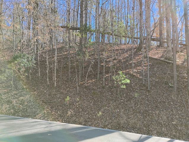 Lt 2090R Newport Drive, Ellijay, GA 30540