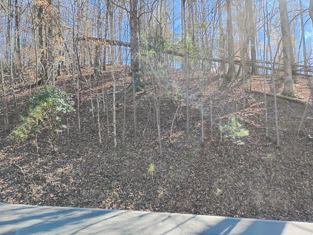 Lt 2090R Newport Drive, Ellijay, GA 30540