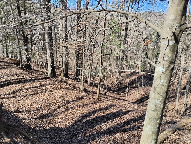 Lt 2090R Newport Drive, Ellijay, GA 30540