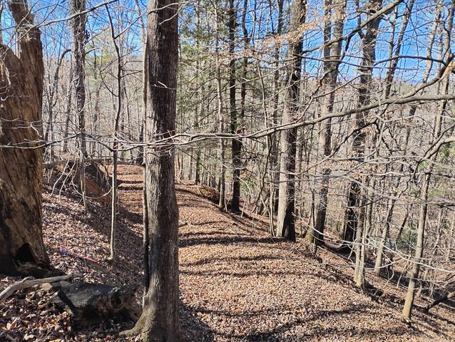 Lt 2090R Newport Drive, Ellijay, GA 30540