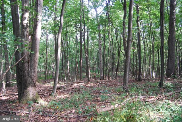 2251 HOUSEHOLDER RD, Hedgesville, WV 25427