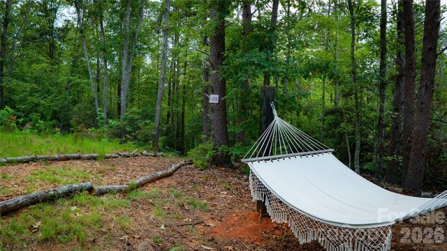 221 Summerfield Lane, Rutherfordton, NC 28139