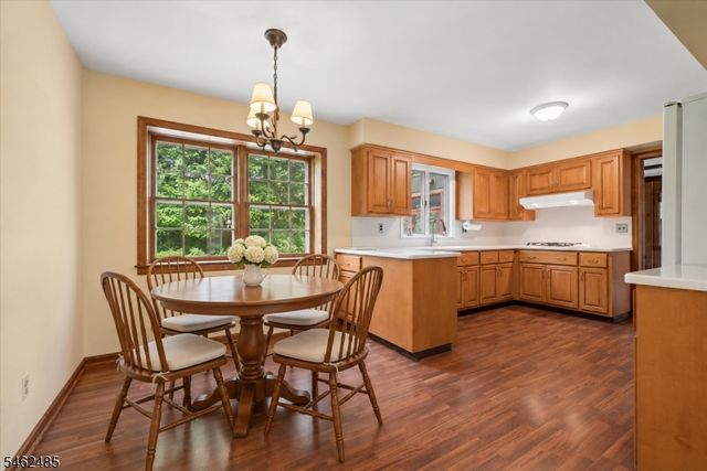1 Ellyn Ct, Morris Twp., NJ 07960